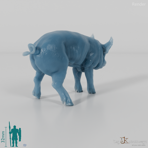 Pig - Berkshire Piglets 01