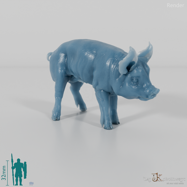 Pig - Berkshire Piglets 01