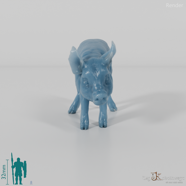 Pig - Berkshire Piglets 01