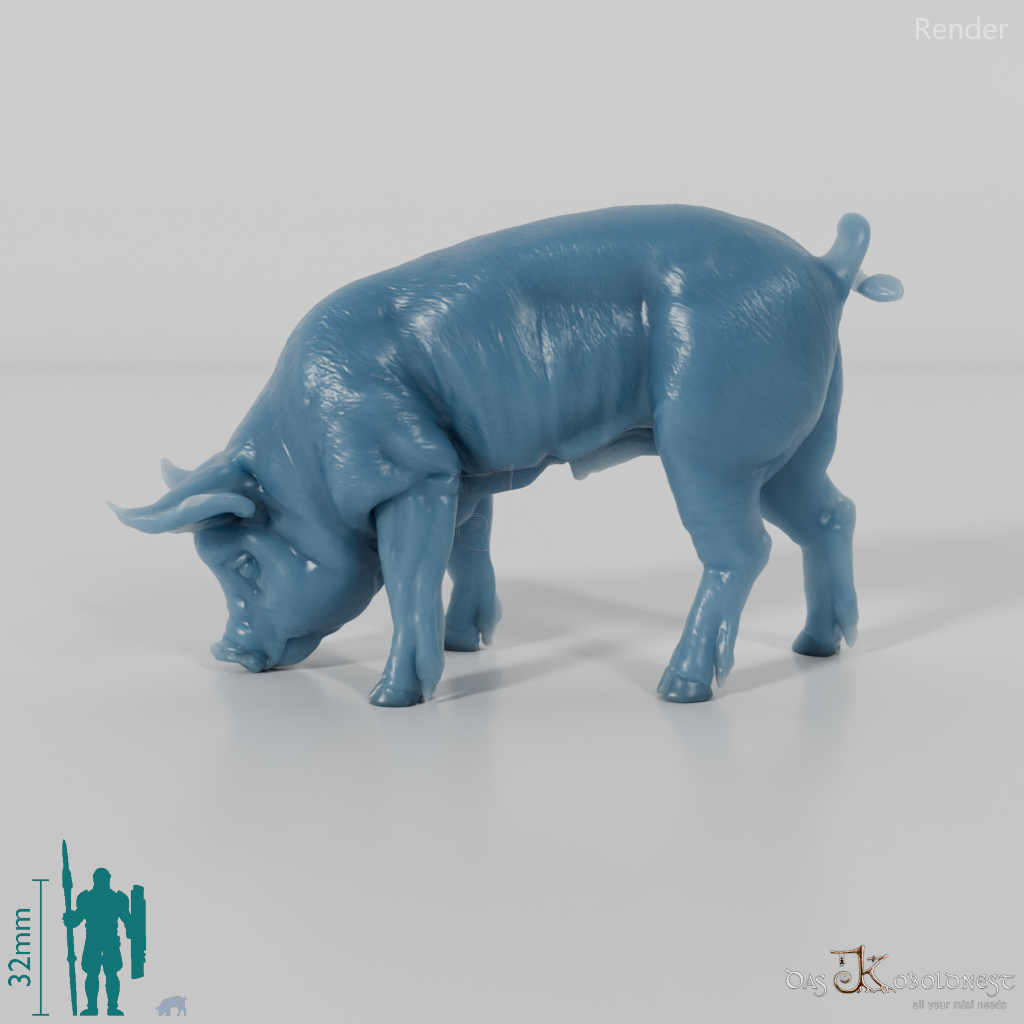 Pig - Berkshire Piglets 02