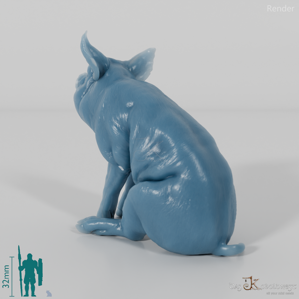 Schwein - Berkshire-Ferkel 03