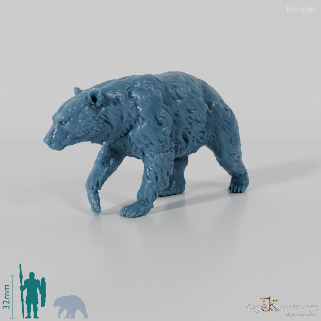 Bear - American Black Bear 01
