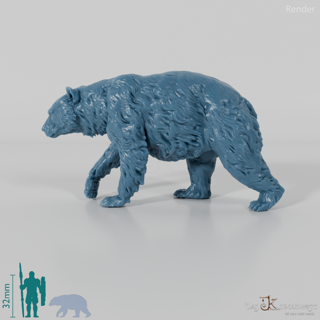 Bear - American Black Bear 01