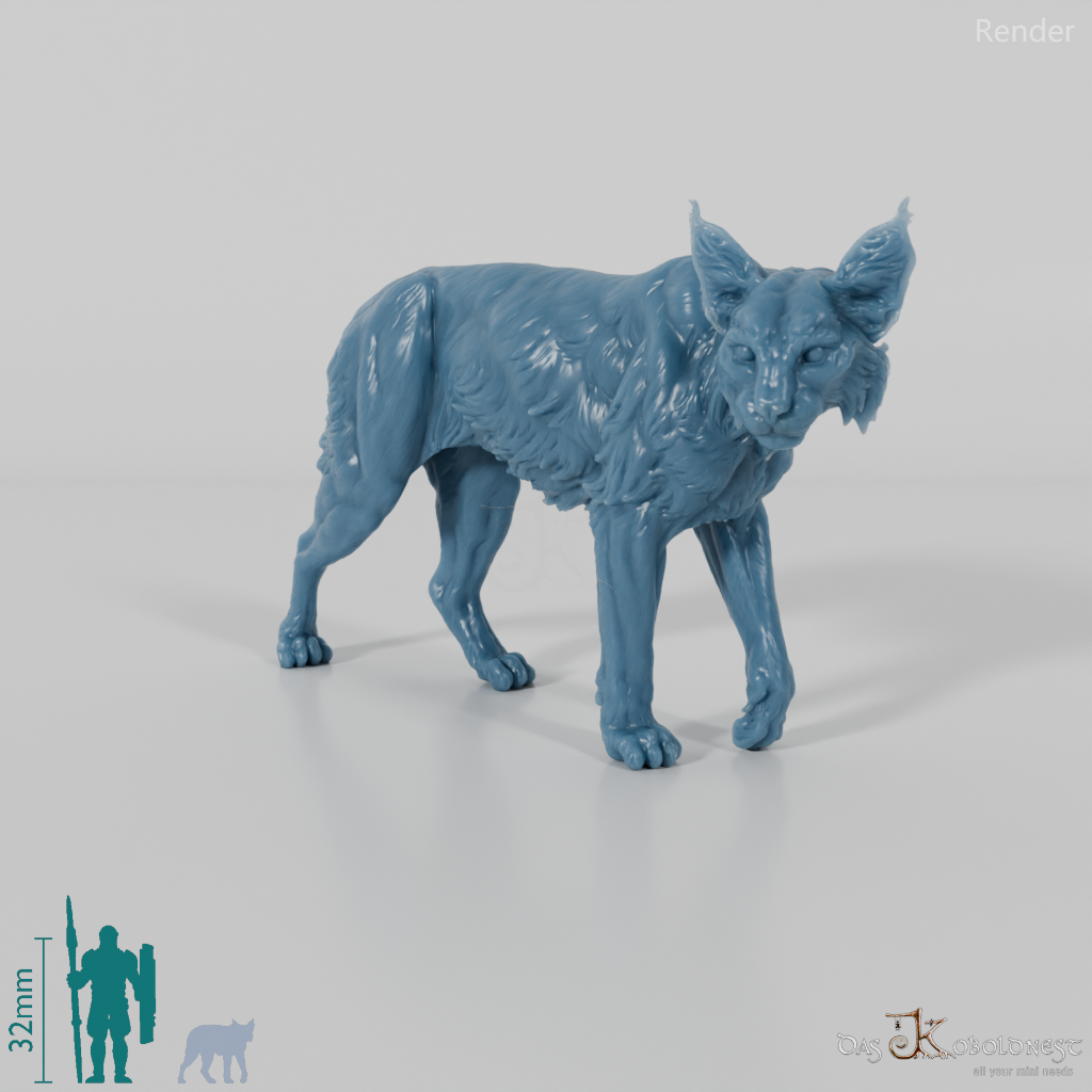 Lynx - Bobcat 01
