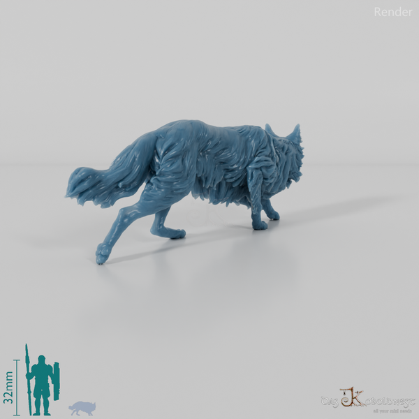 Hund - Border Collie 04