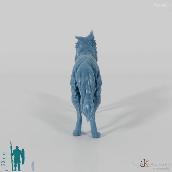 Hund - Border Collie 05