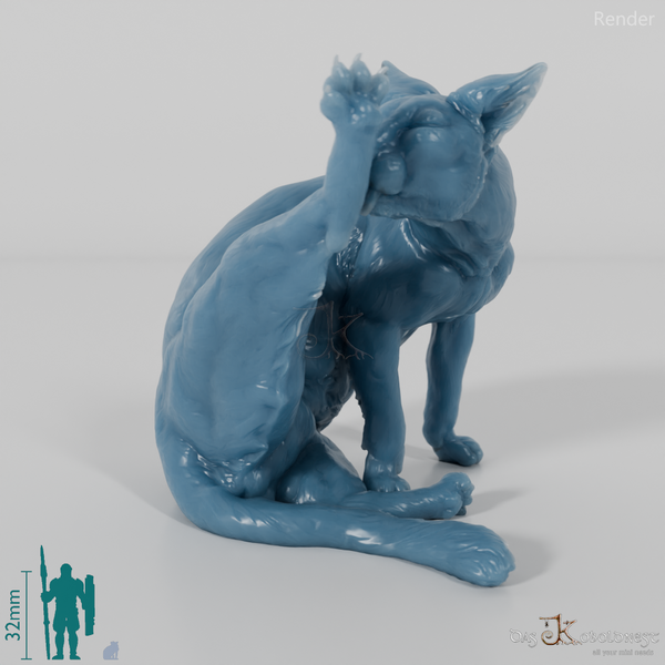 Cat - domestic cat 03