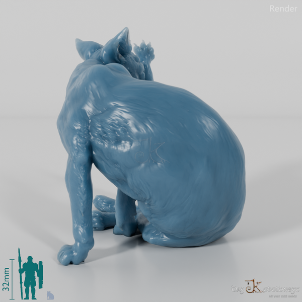 Cat - domestic cat 03