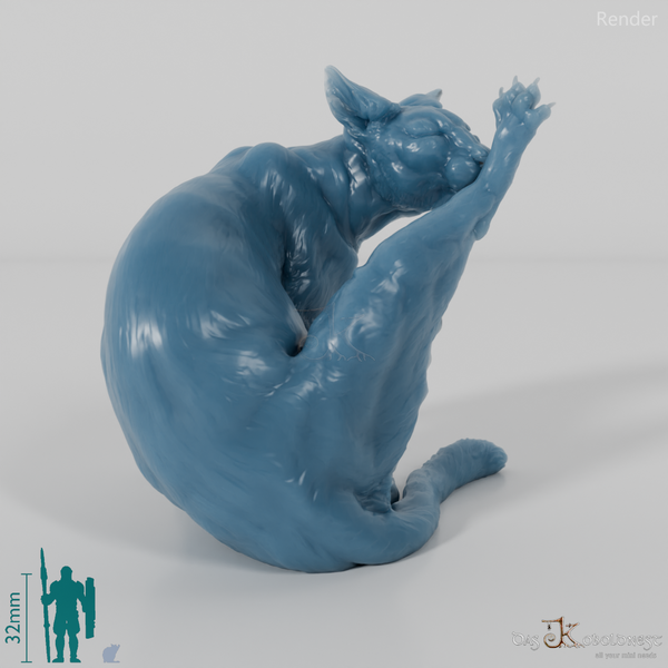 Cat - domestic cat 03