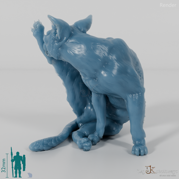 Cat - domestic cat 03