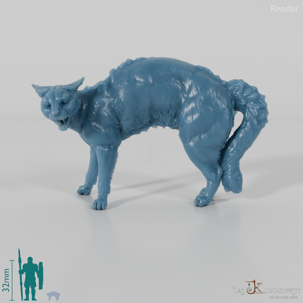 Cat - domestic cat 04