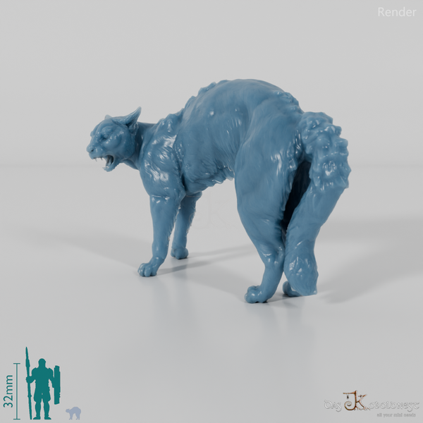 Cat - domestic cat 04