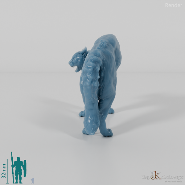 Cat - domestic cat 04