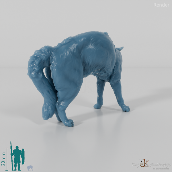 Cat - domestic cat 04