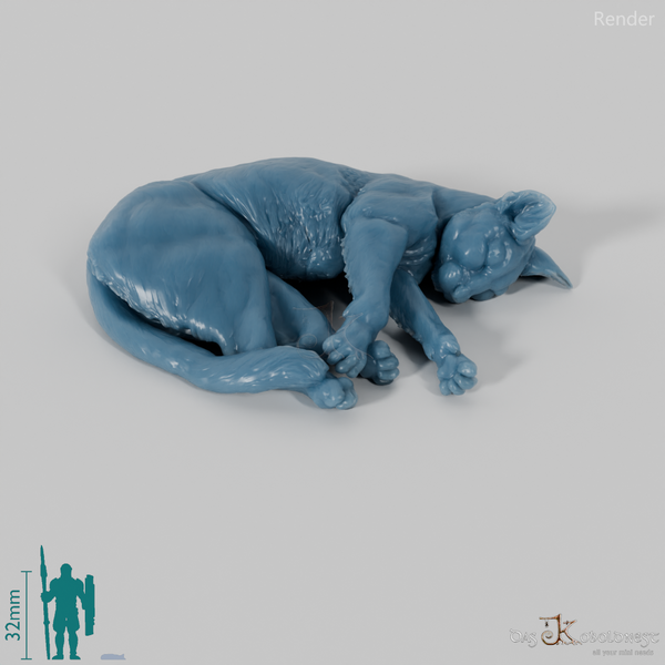 Cat - domestic cat 05