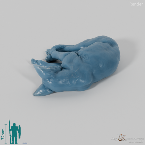 Cat - domestic cat 05