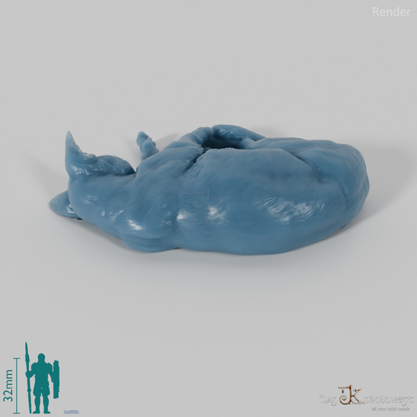 Cat - domestic cat 05