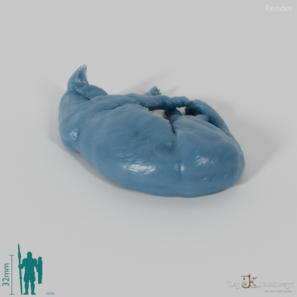 Cat - domestic cat 05