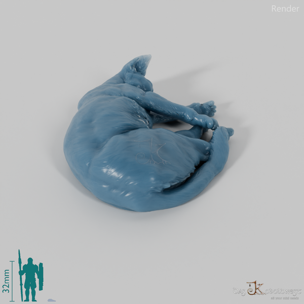 Cat - domestic cat 05