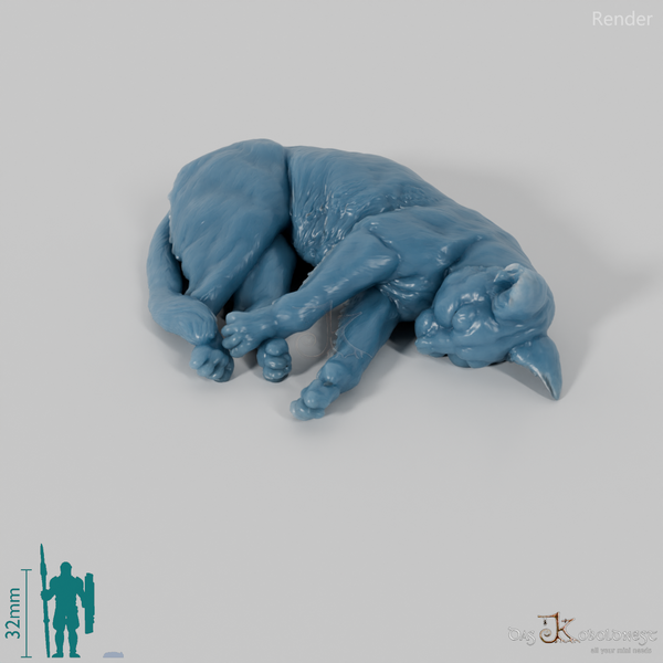 Cat - domestic cat 05