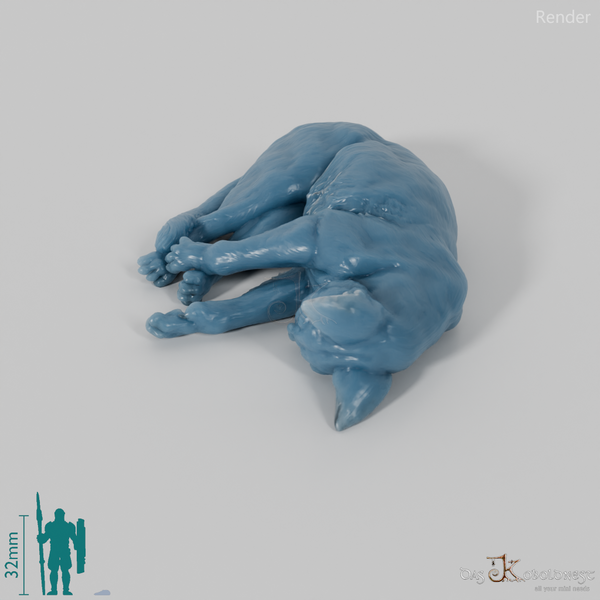 Cat - domestic cat 05