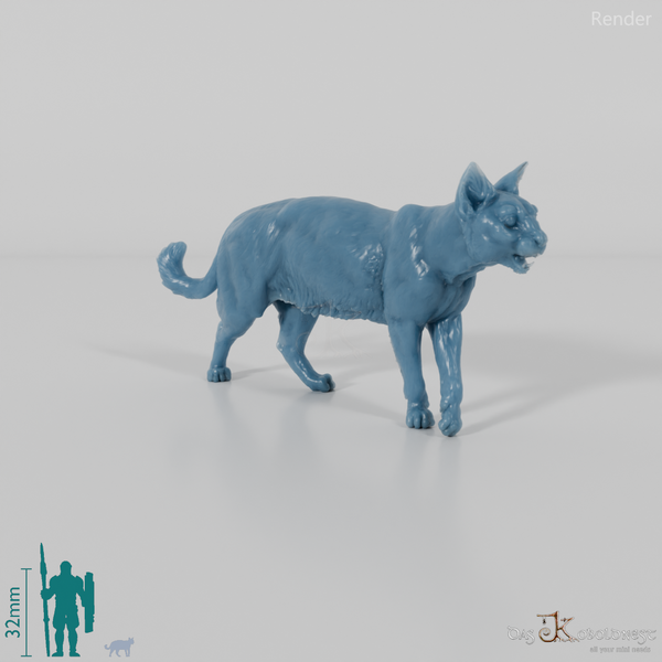 Cat - domestic cat 06