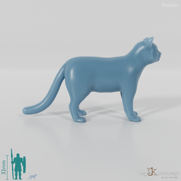 Cat - domestic cat 01