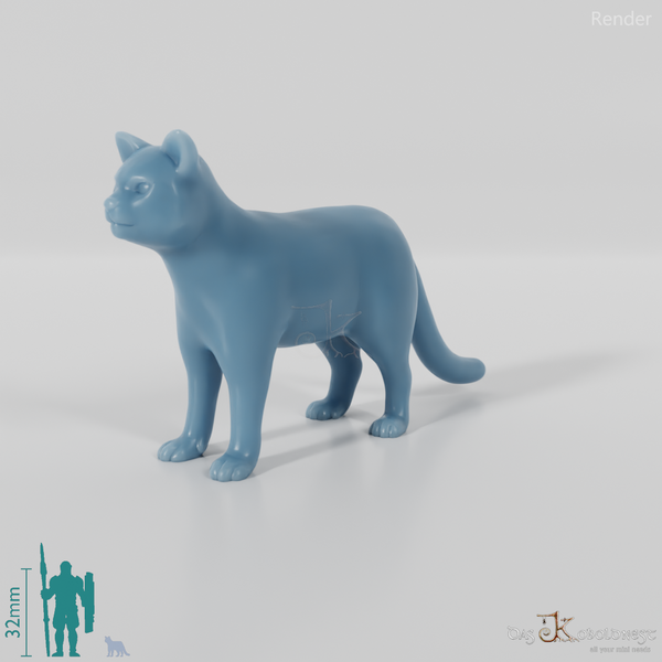 Cat - domestic cat 01