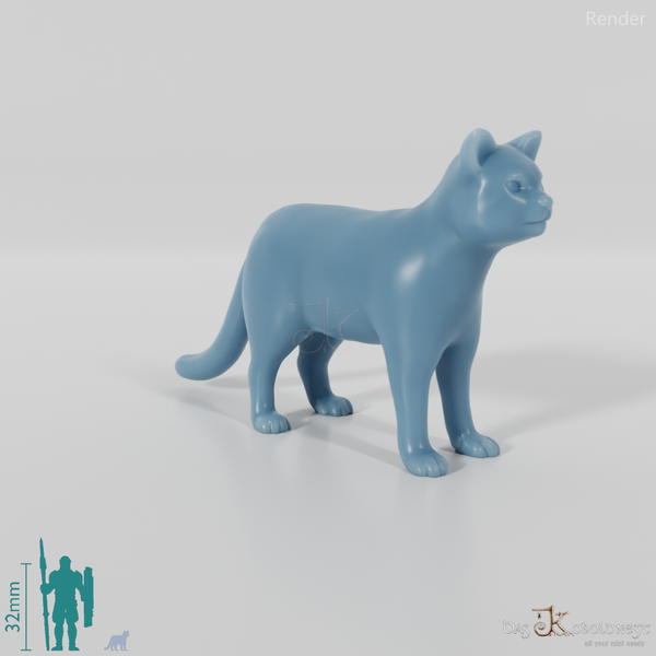 Cat - domestic cat 01