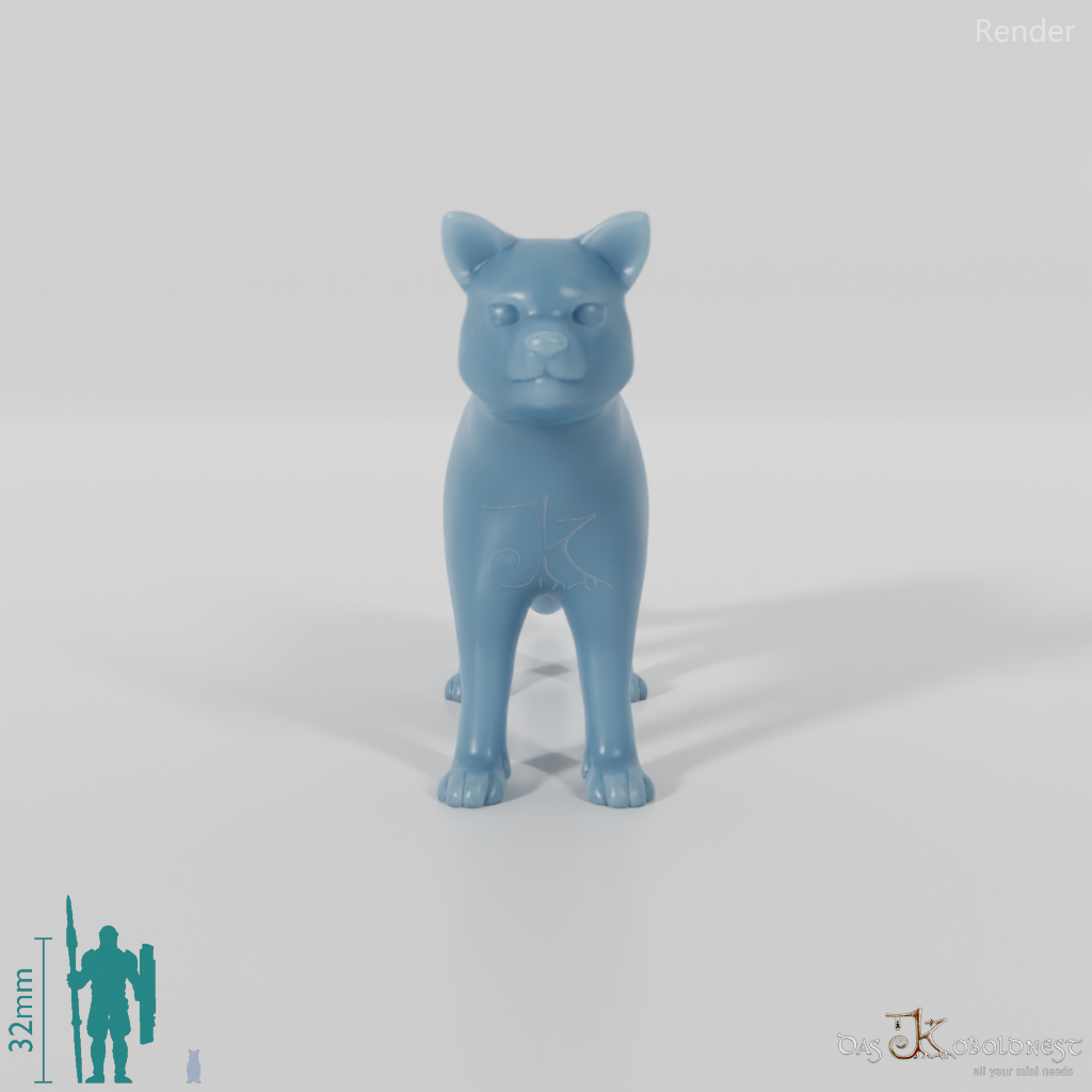 Katze - Hauskatze 01