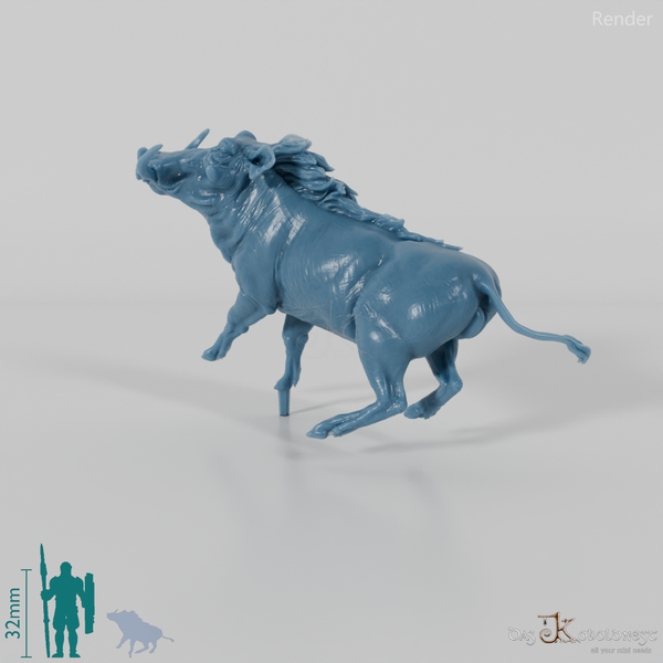 Warzenschwein - Warzenschwein 02