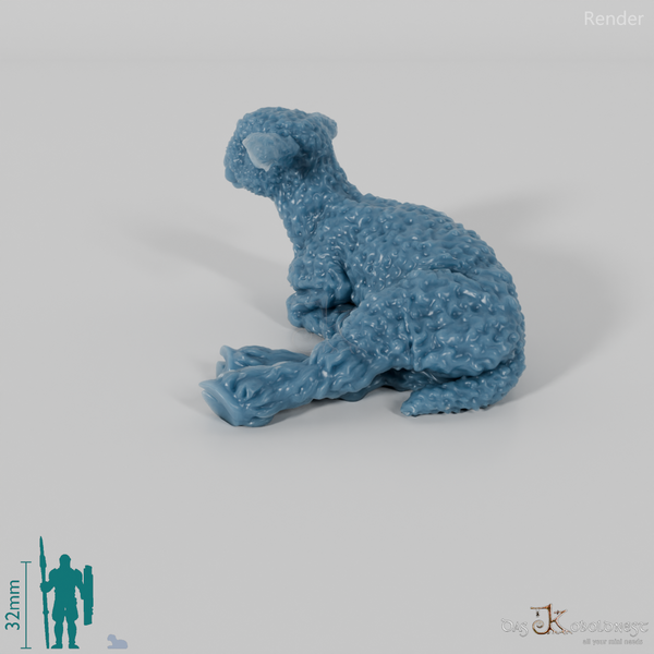 Schaf - Devon and Cornwall Longwool - Lamm 02