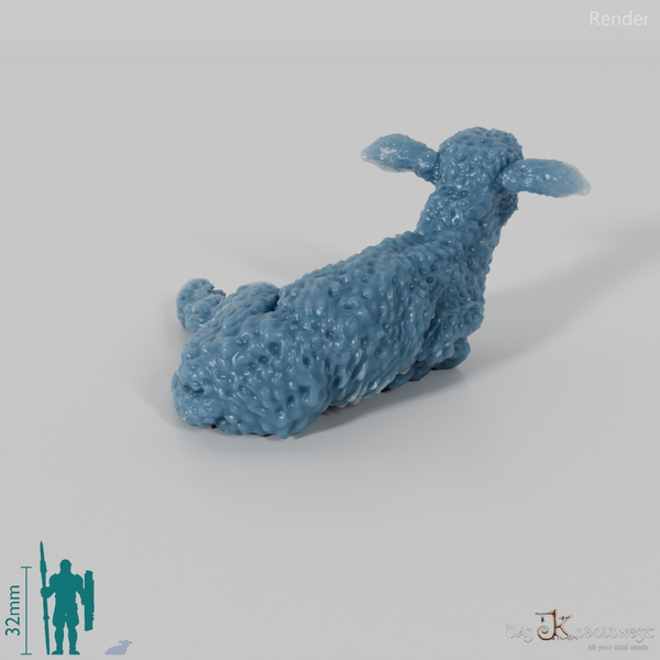 Schaf - Devon and Cornwall Longwool - Lamm 02