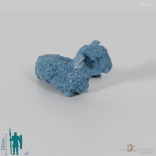 Schaf - Devon and Cornwall Longwool - Lamm 02