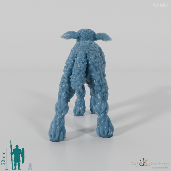 Schaf - Devon and Cornwall Longwool - Lamm 03