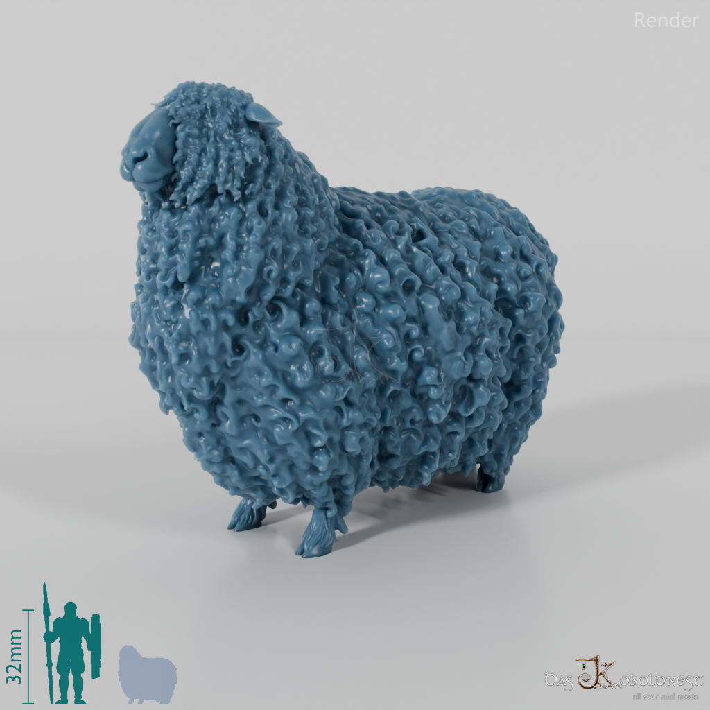 Sheep - Devon and Cornwall Longwool - Ram 01