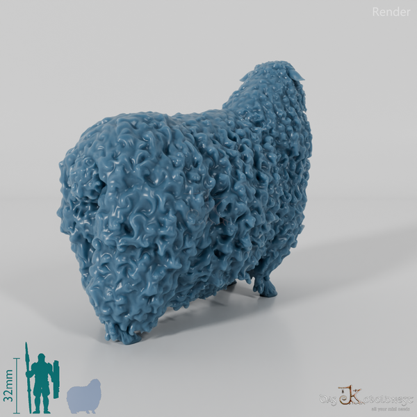 Schaf - Devon and Cornwall Longwool - Bock 01