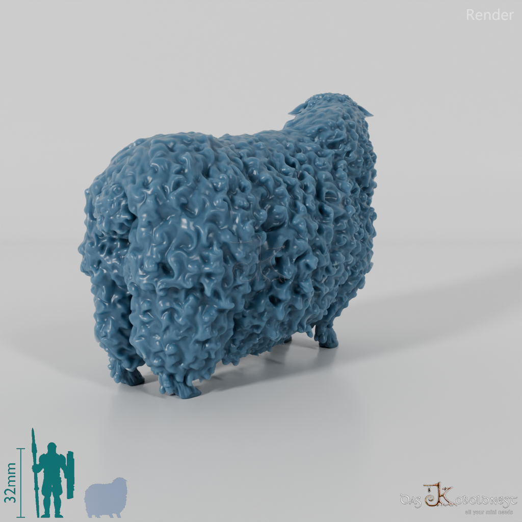 Sheep - Devon and Cornwall Longwool - Ram 02