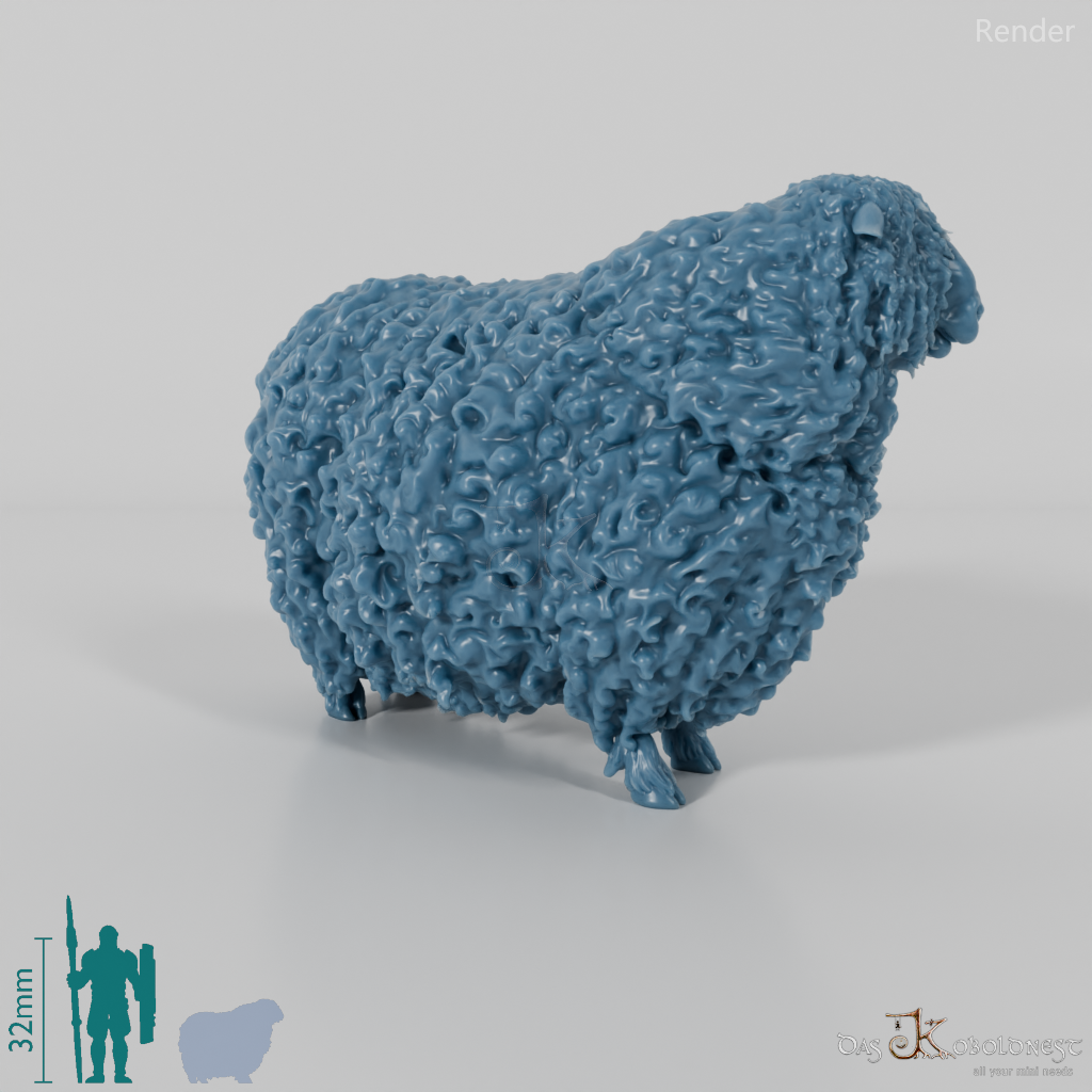 Sheep - Devon and Cornwall Longwool - Ram 02