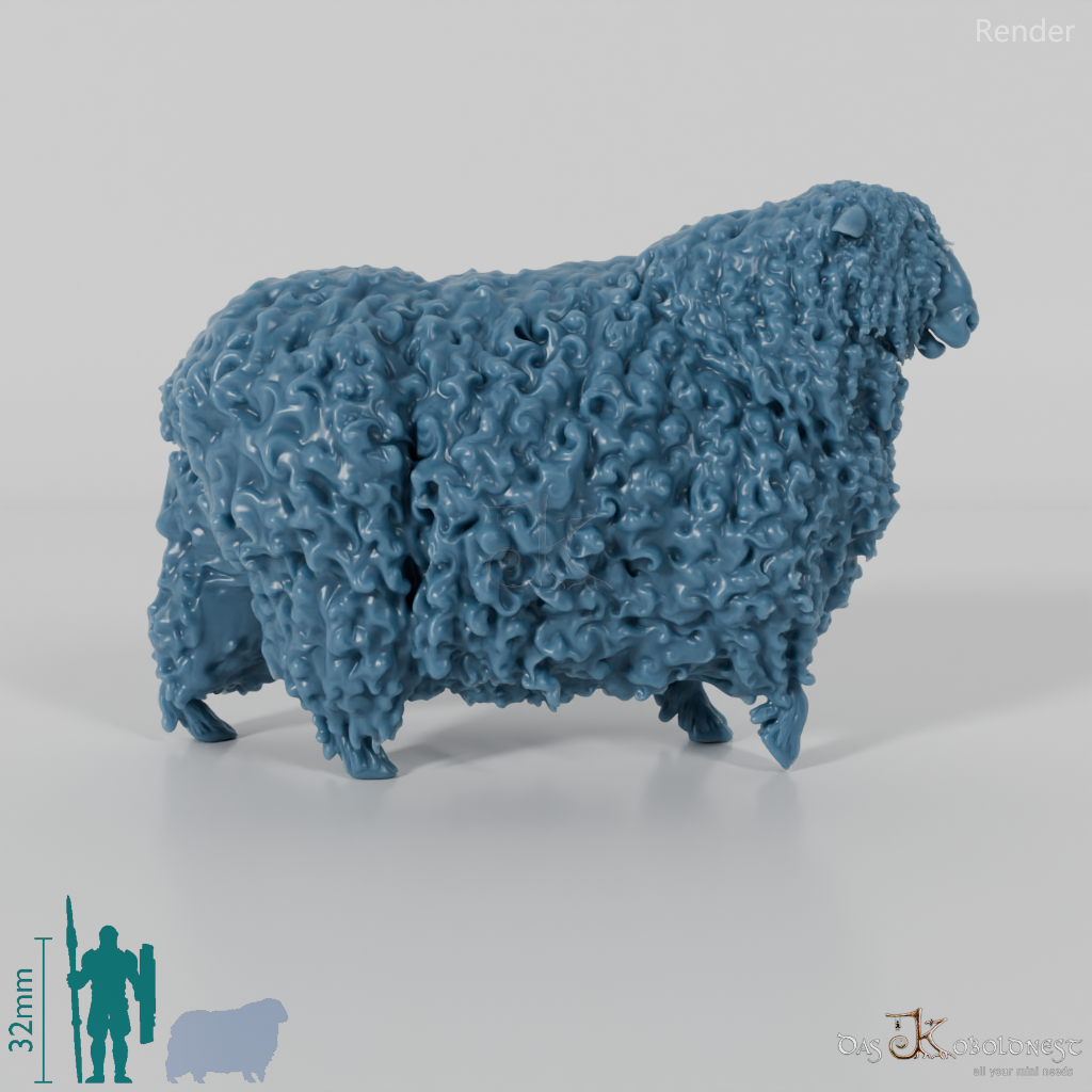 Sheep - Devon and Cornwall Longwool - Ram 03