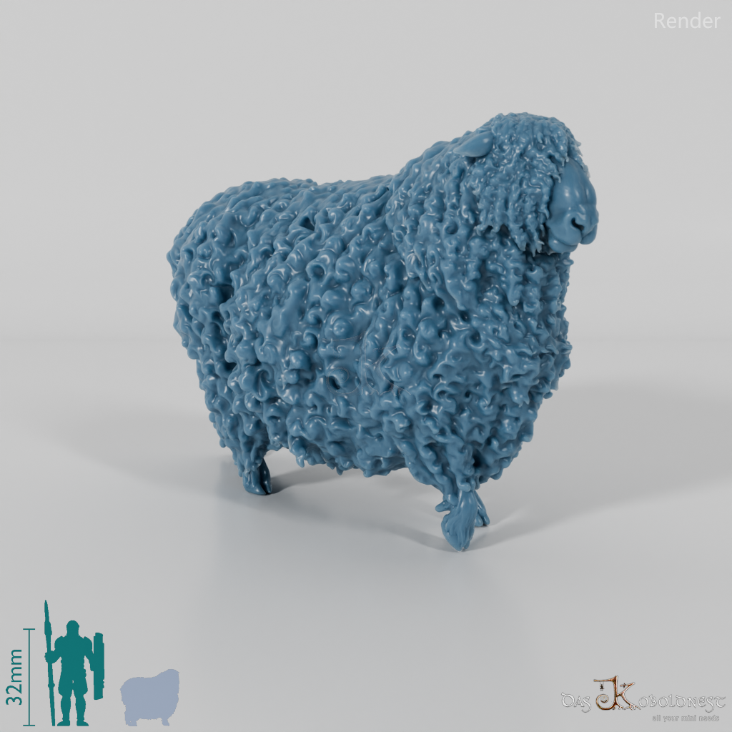 Sheep - Devon and Cornwall Longwool - Ram 03