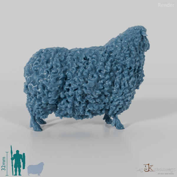 Schaf - Devon and Cornwall Longwool - Schaf 01