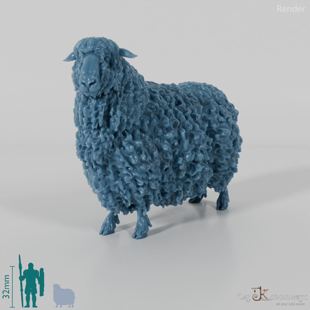 Sheep - Devon and Cornwall Longwool - Sheep 01