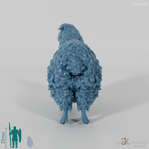 Schaf - Devon and Cornwall Longwool - Schaf 01