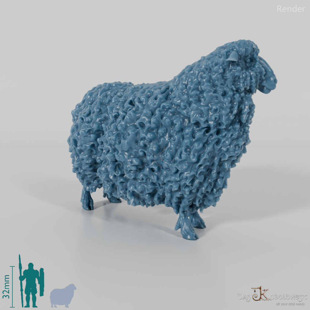 Sheep - Devon and Cornwall Longwool - Sheep 01