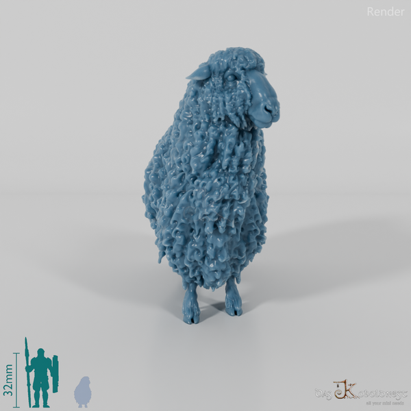 Schaf - Devon and Cornwall Longwool - Schaf 01