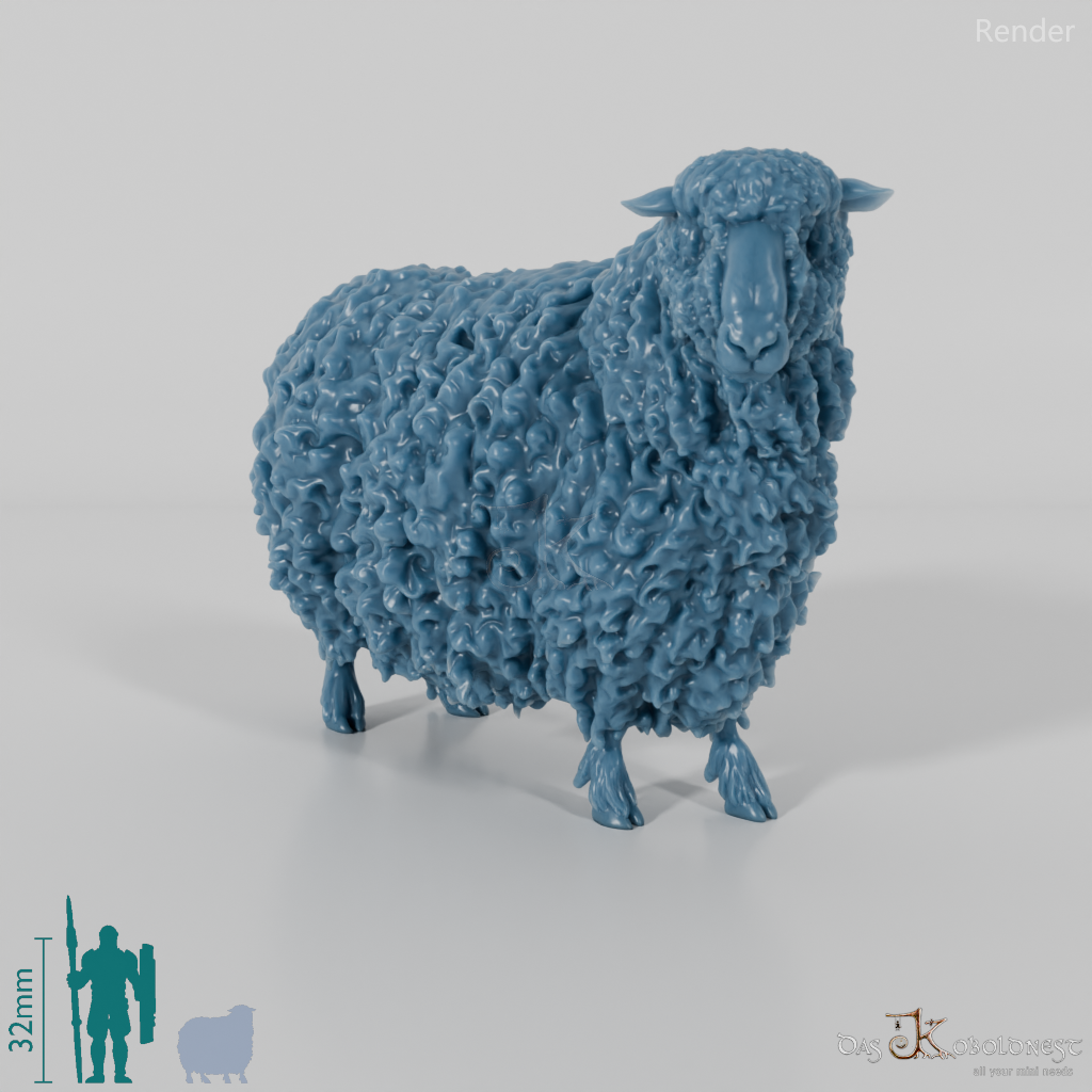 Sheep - Devon and Cornwall Longwool - Sheep 02