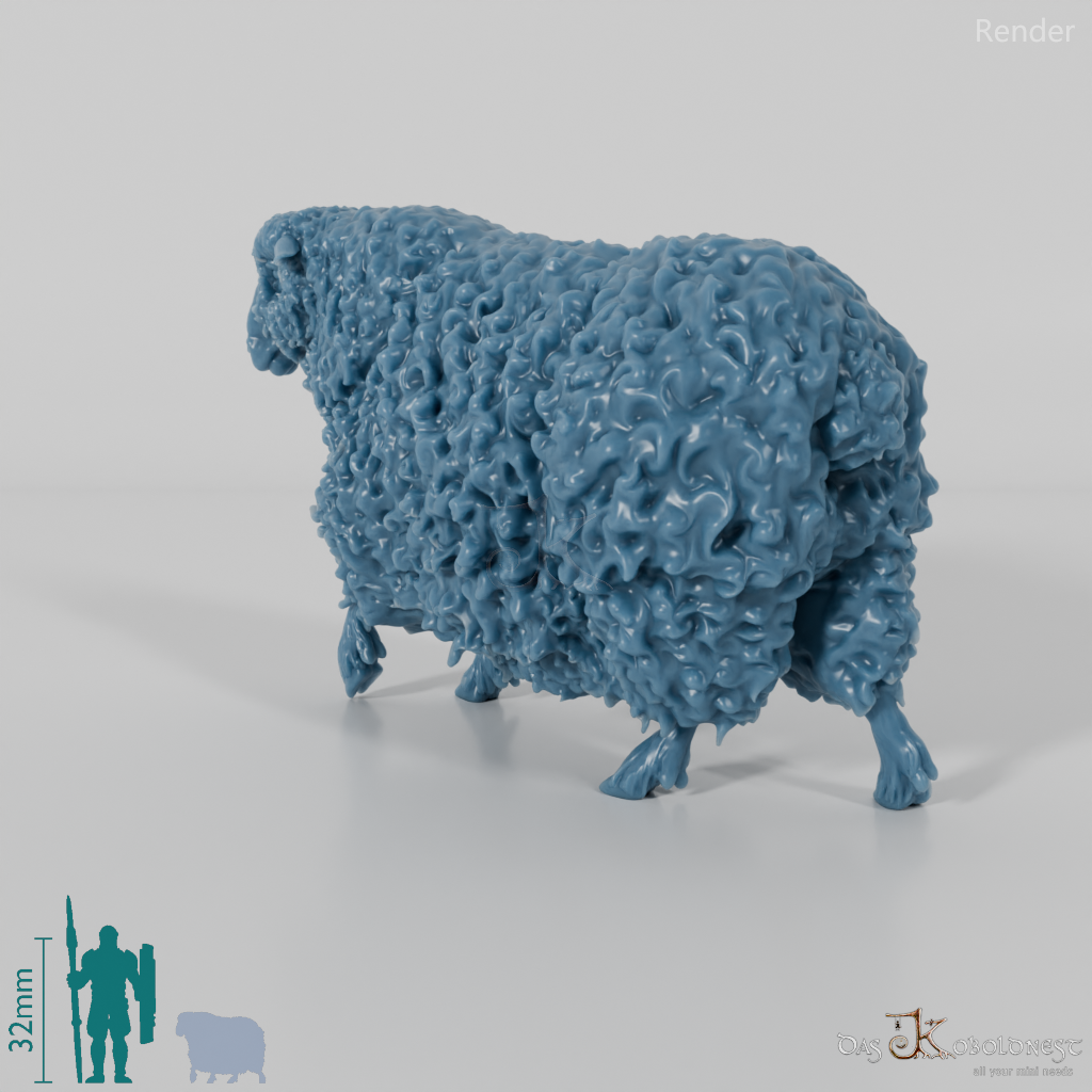 Sheep - Devon and Cornwall Longwool - Sheep 03