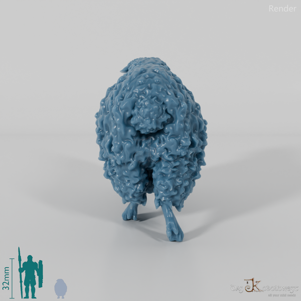 Schaf - Devon and Cornwall Longwool - Schaf 03