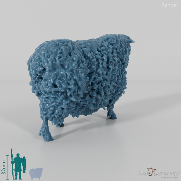 Schaf - Devon and Cornwall Longwool - Schaf 03